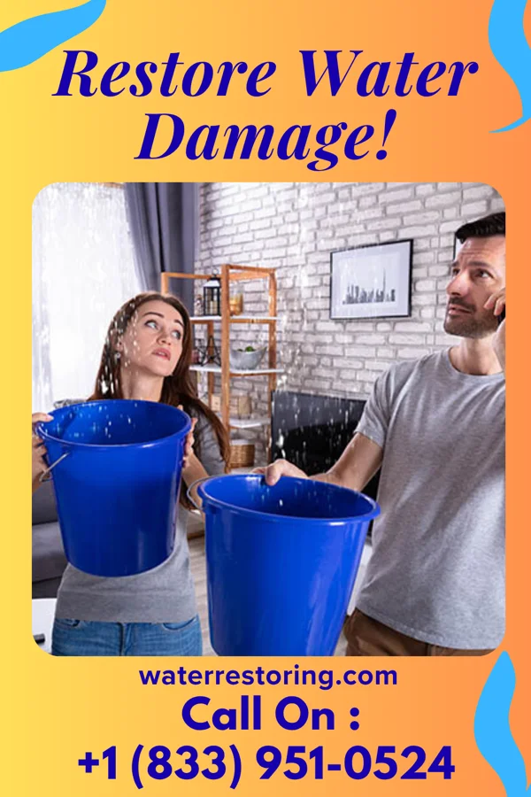 water restoration Citywide Water Repair & Sons East Shoreham