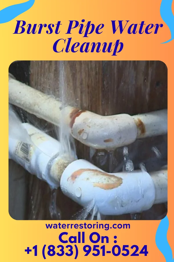 Burst Pipe Water Cleanup in East Shoreham, NY