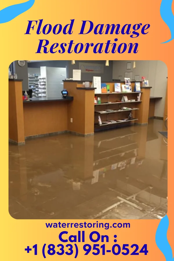 Flood Damage Restoration in East Shoreham, NY