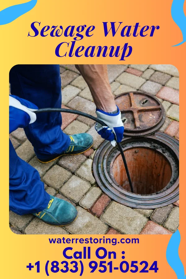 Sewage Water Cleanup in East Shoreham, NY